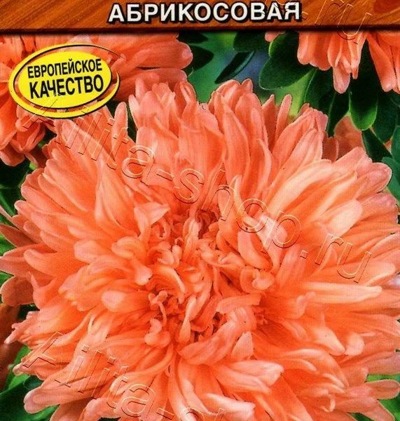 АЭЛИТА АСТРА КОРОЛЕВСКИЙ РАЗМЕР АБРИКОСОВАЯ Ц/П 0,1 г