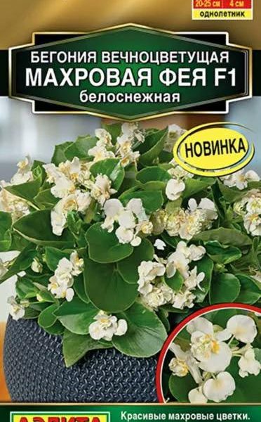 АЭЛИТА БЕГОНИЯ ВЕЧНОЦВЕТУЩАЯ МАХРОВАЯ ФЕЯ F1 БЕЛОСНЕЖНАЯ Ц/П 5 шт