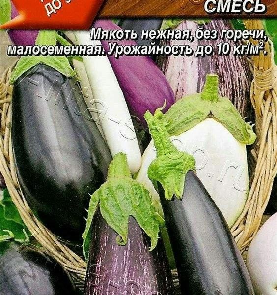 АЭЛИТА БАКЛАЖАН ИКОРНЫЙ РАЙ, СМЕСЬ Ц/П 0,3 г