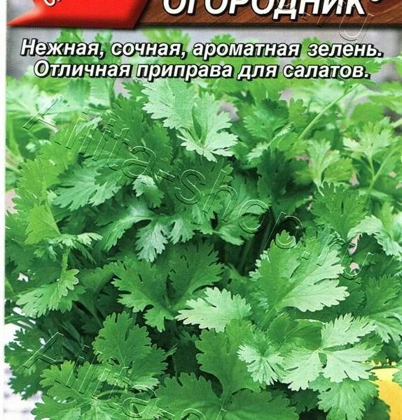 АЭЛИТА КОРИАНДР ОВОЩНОЙ ПЕТРУША ОГОРОДНИК Ц/П 3 г