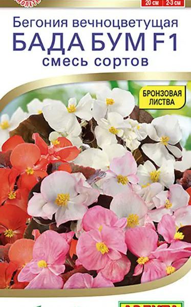 АЭЛИТА БЕГОНИЯ БАДА БУМ F1, СМЕСЬ СОРТОВ Ц/П 5 шт