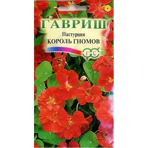 ГАВРИШ НАСТУРЦИЯ КОРОЛЬ ГНОМОВ 1Г