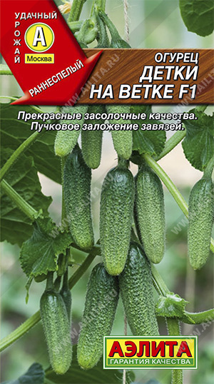 АЭЛИТА ОГУРЕЦ ДЕТКИ НА ВЕТКЕ F1 Ц/П 10 ШТ