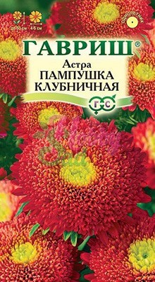 ГАВРИШ АСТРА ПАМПУШКА КЛУБНИЧНАЯ 0,3 Г, ПОМПОННАЯ