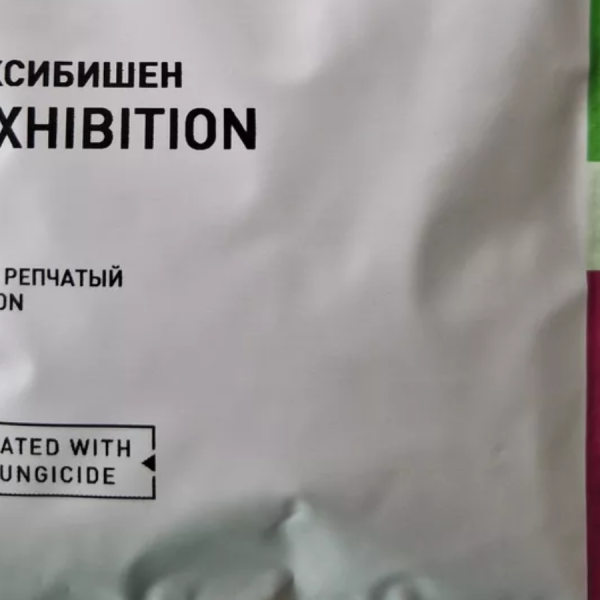 ЛУК РЕПЧАТЫЙ ЖЕЛТЫЙ ЭКСИБИШН 10000 С /БЕЙО