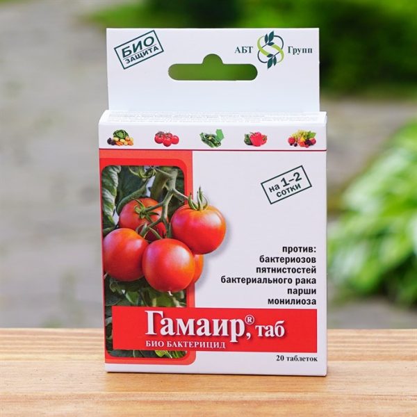 ГАМАИР 2ПАК*10ТАБ КОРОБКА 40ШТ/100/ АБТ