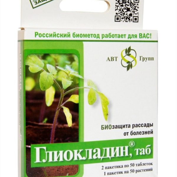 ГЛИОКЛАДИН 100ТАБ КОРОБКА /100/ АБТ