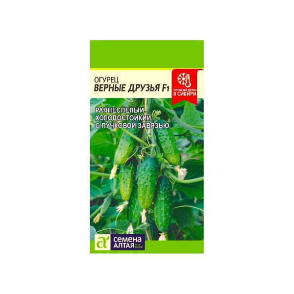 СЕМЕНА АЛТАЯ ОГУРЕЦ ВЕРНЫЕ ДРУЗЬЯ F1 ЦП 5 ШТ.