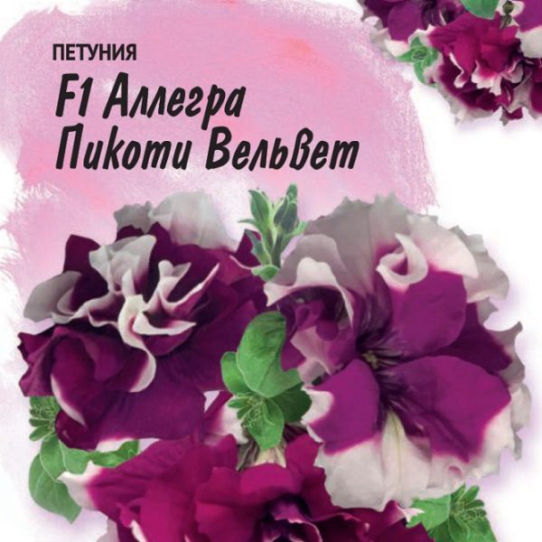 ГАВРИШ ПЕТУНИЯ АЛЛЕГРА F1 СРЕЗОЧНАЯ СМЕСЬ КРУПНОЦВ. 7 ШТ. ГРАНУЛ. ПРОБИРКА, СЕРИЯ ФАРАО