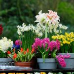 5175843f14f55ea330523351e68d3d0a