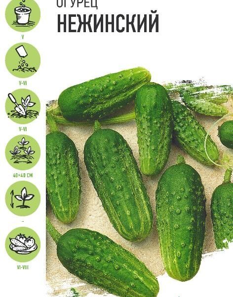 ГАВРИШ ОГУРЕЦ НЕЖИНСКИЙ 0,5 Г УД.С.
