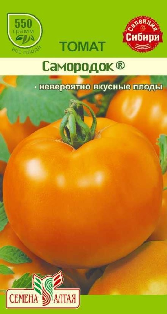 СЕМЕНА АЛТАЯ ТОМАТ САМОРОДОК ЦП 0,05 ГР. НАША СЕЛЕКЦИЯ!