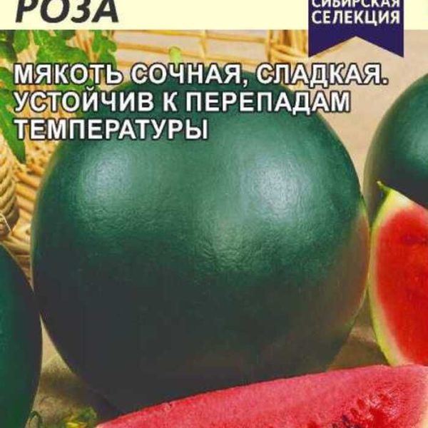 СЕМЕНА АЛТАЯ АРБУЗ СИБИРСКАЯ РОЗА ЦП 1 ГР