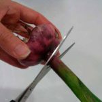 6b9247e96a165051d3d38d542ac166eb