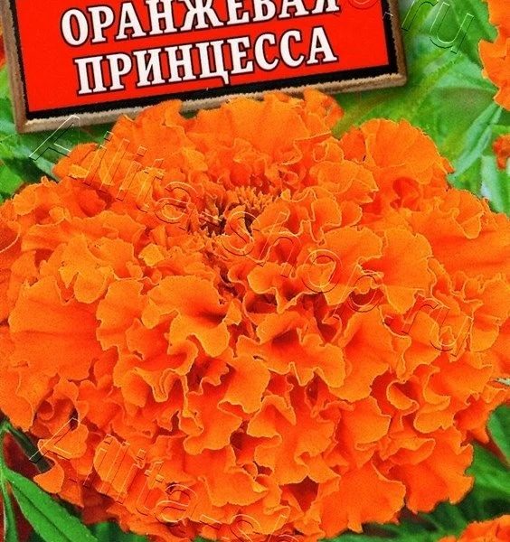 АЭЛИТА БАРХАТЦЫ ОРАНЖЕВАЯ ПРИНЦЕССА ПРЯМОСТОЯЧИЕ  Ц/П 0,3 г