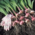 fit_960_530_false_crop_1000_562_0_52_q90_3683052_2da666cbb2bb9fe8871850f3f