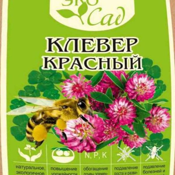 СЕМЕНА АЛТАЯ КЛЕВЕР КРАСНЫЙ 1 КГ СЕРИЯ "ЭКО САД"