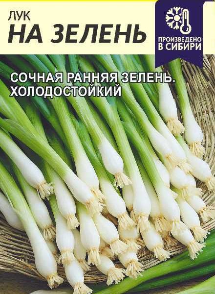 СЕМЕНА АЛТАЯ ЛУК НА ЗЕЛЕНЬ ЦП 0,5 ГР.