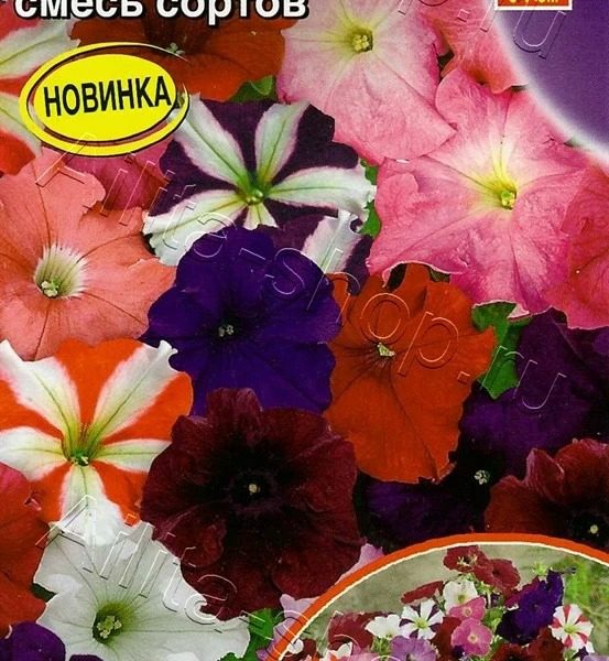 АЭЛИТА ПЕТУНИЯ ЛАМБАДА F1 МНОГОЦВЕТКОВАЯ, СМЕСЬ СОРТОВ Ц/П 7 шт