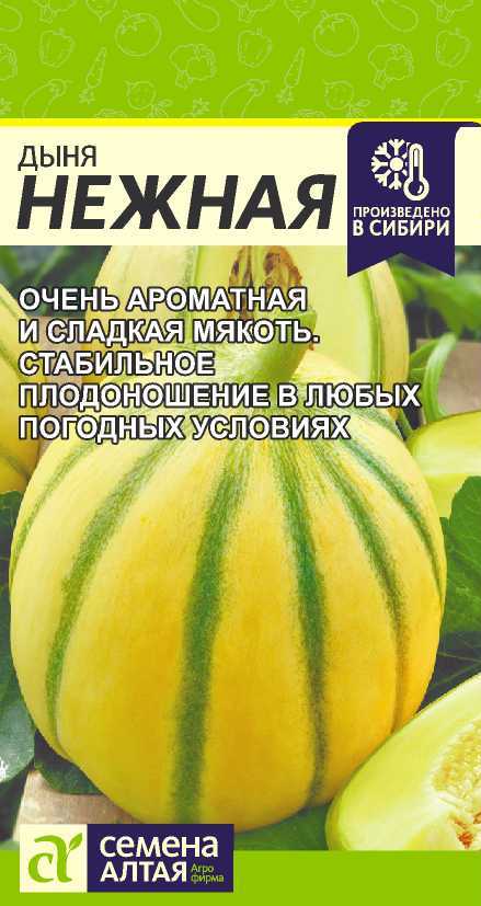 СЕМЕНА АЛТАЯ ДЫНЯ НЕЖНАЯ ЦП 0,5 ГР